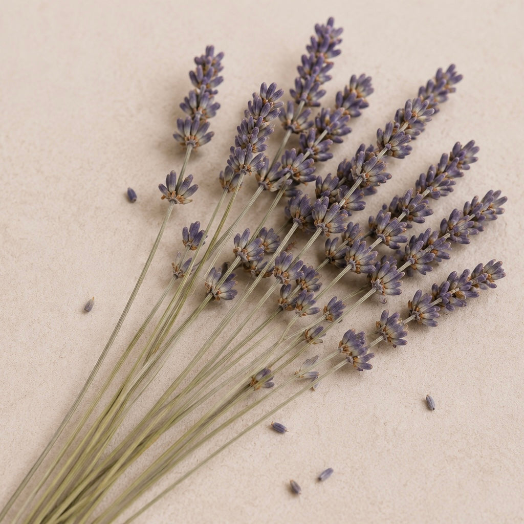 Lavender & Bergamot Candle